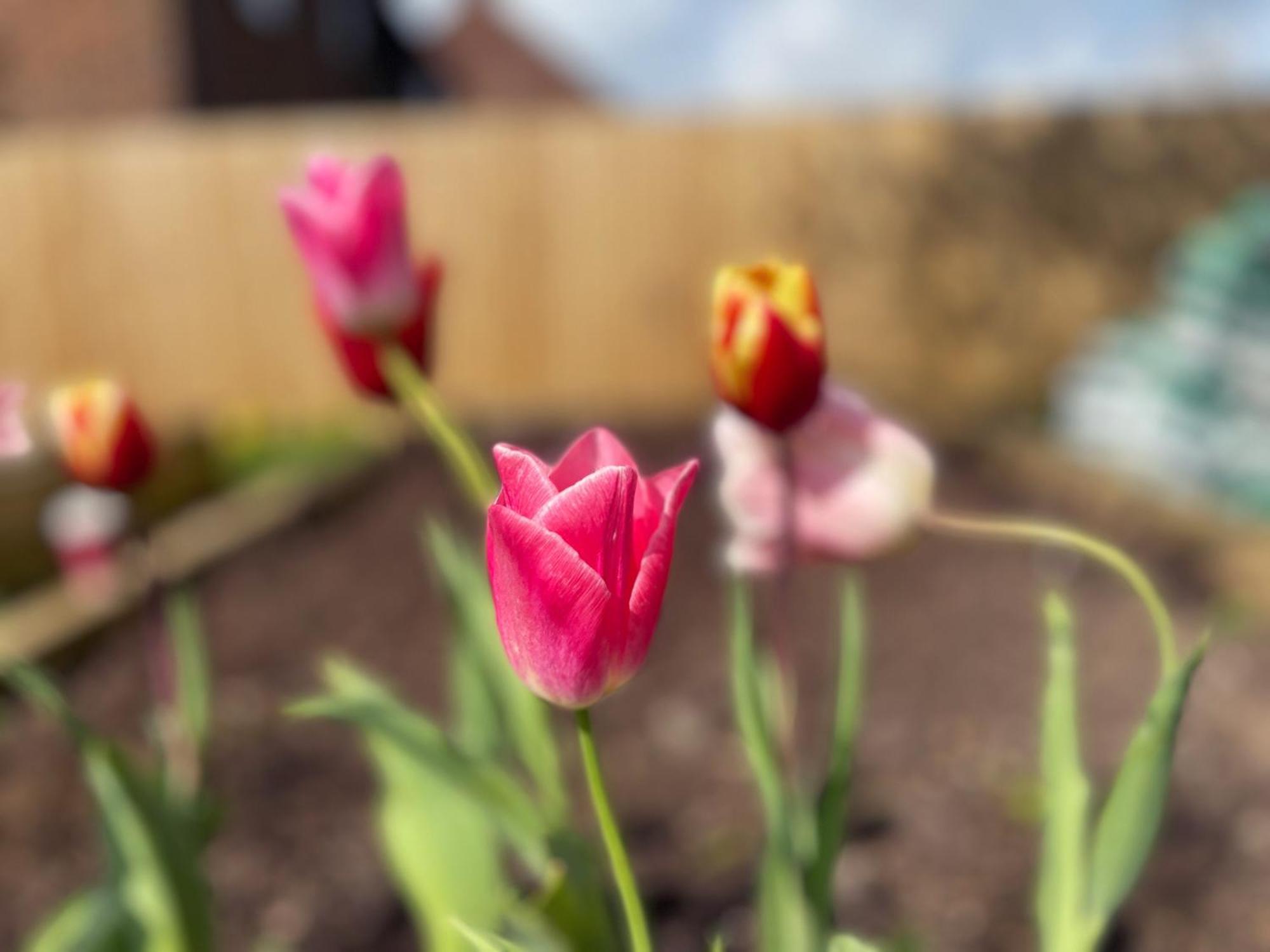 Hannah's Homestay Upper Heyford (Oxfordshire)